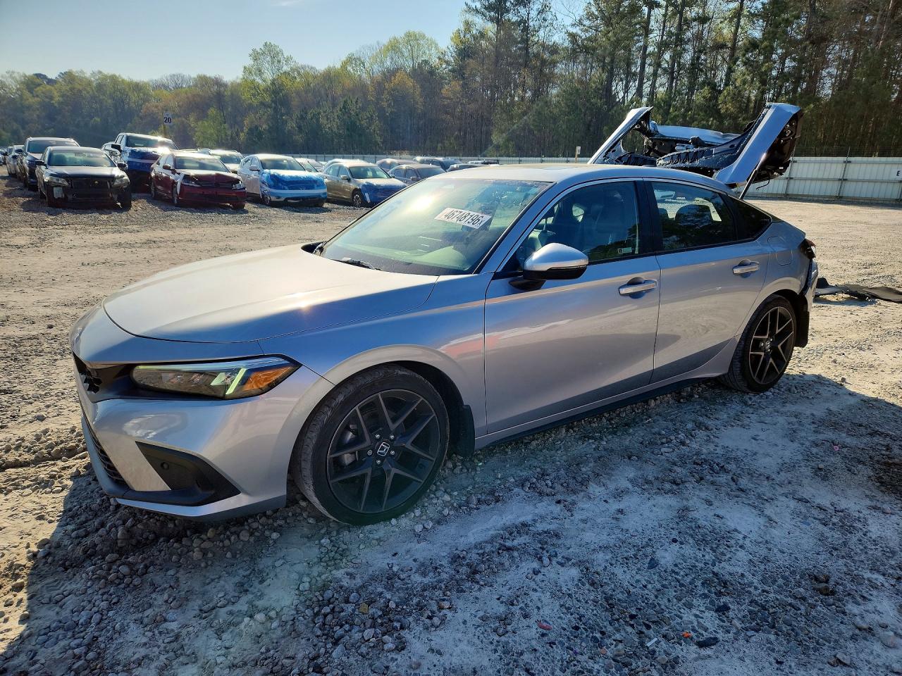 Salvage Honda Civic Image
