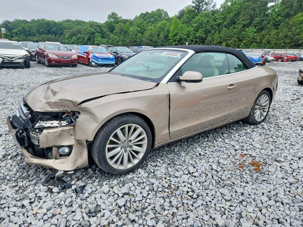 Salvage Audi A5 Image