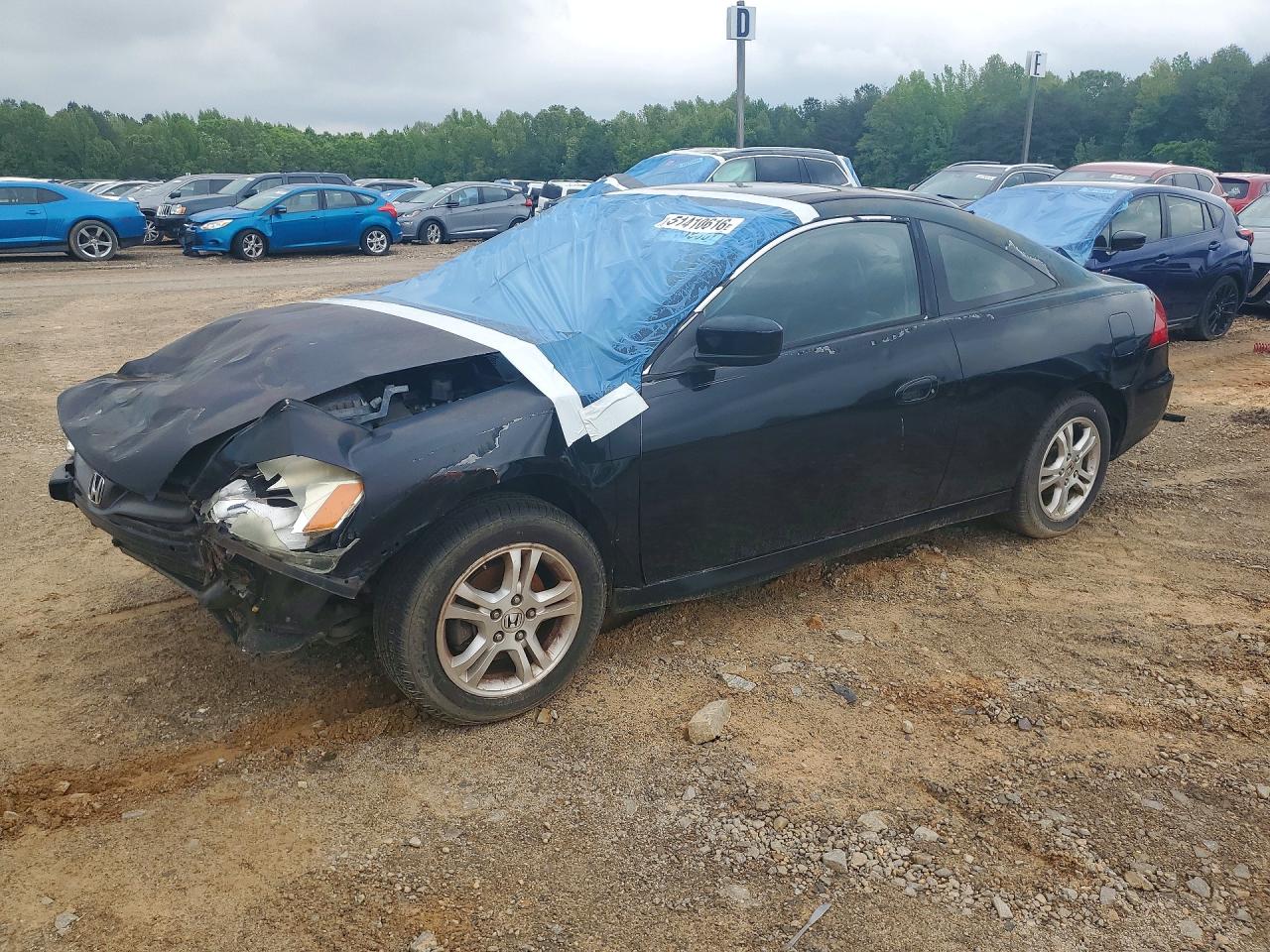 Salvage Honda Accord Image
