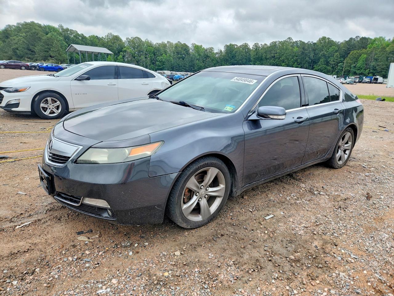Salvage Acura TL Image