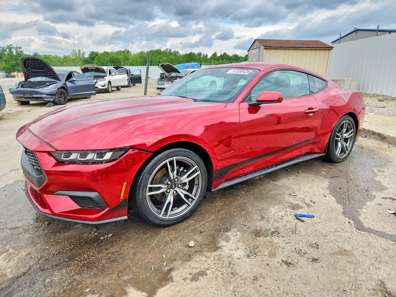Salvage Ford Mustang Image