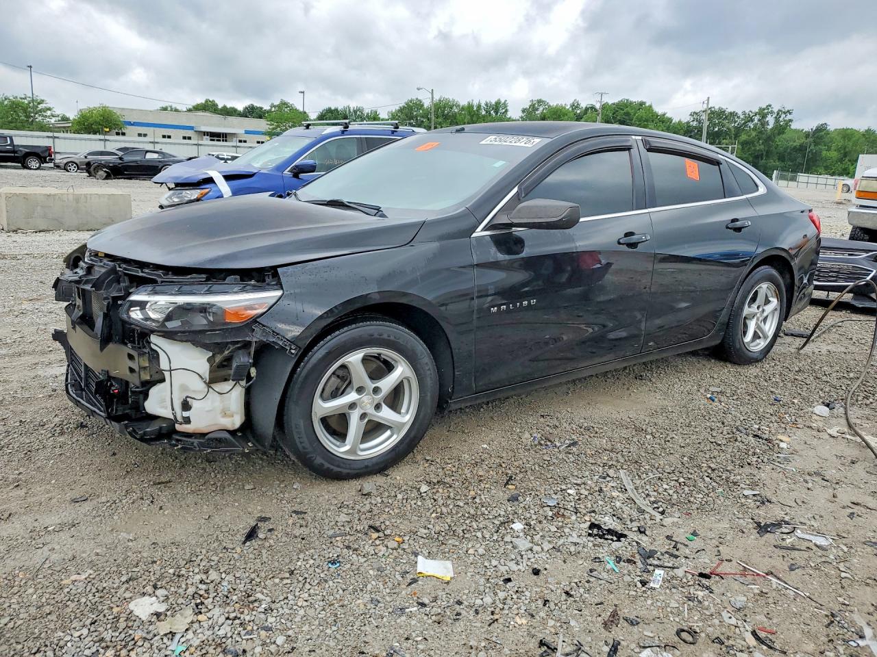 Salvage Chevrolet Malibu Image