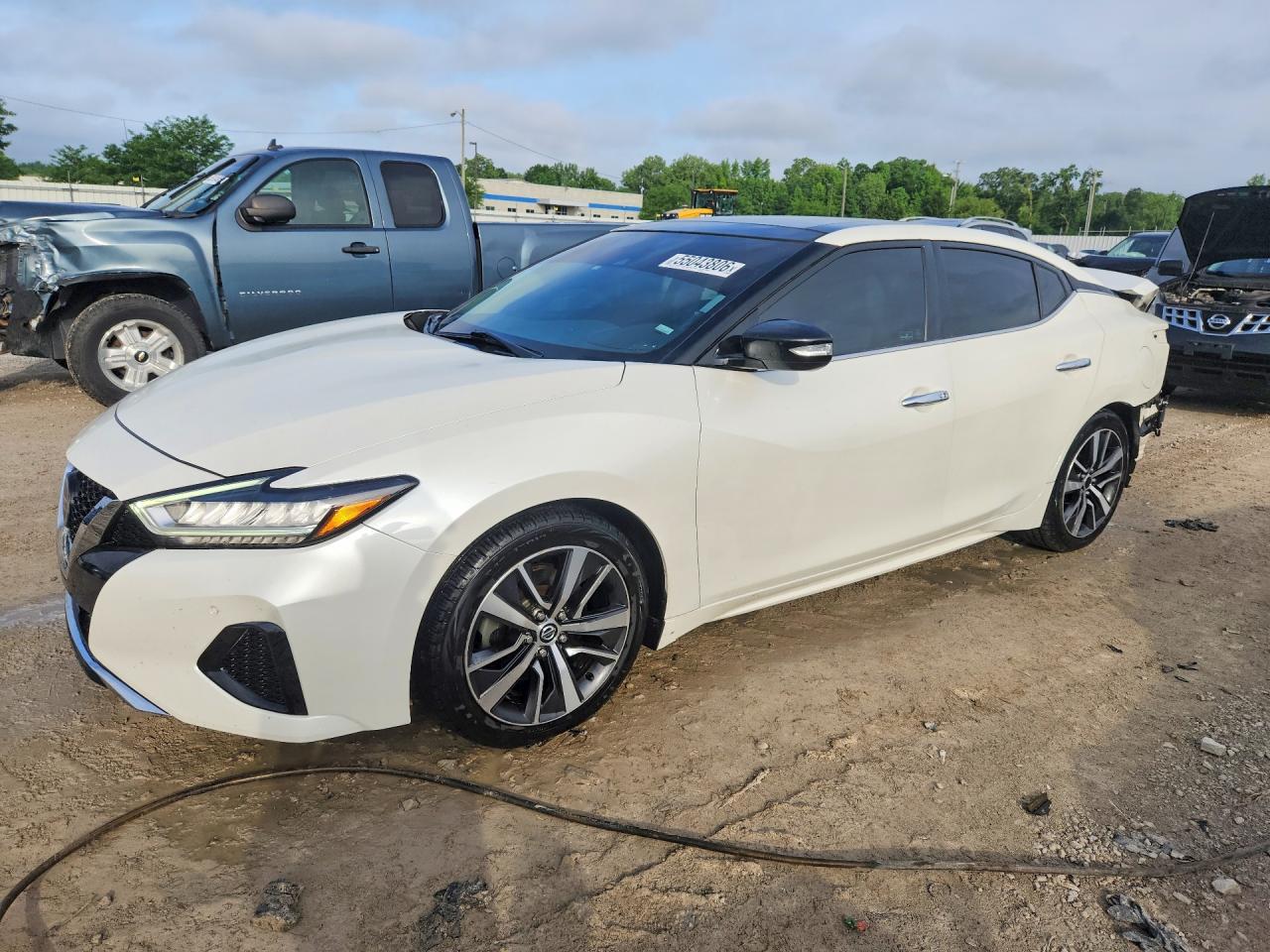 Salvage Nissan Maxima Image
