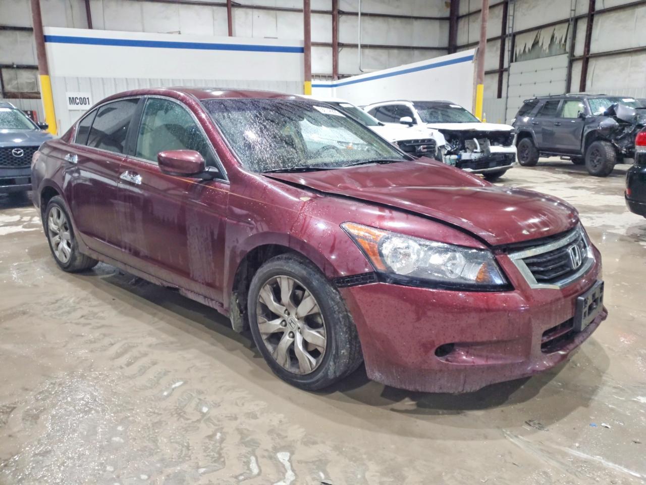 Honda Accord Exl
