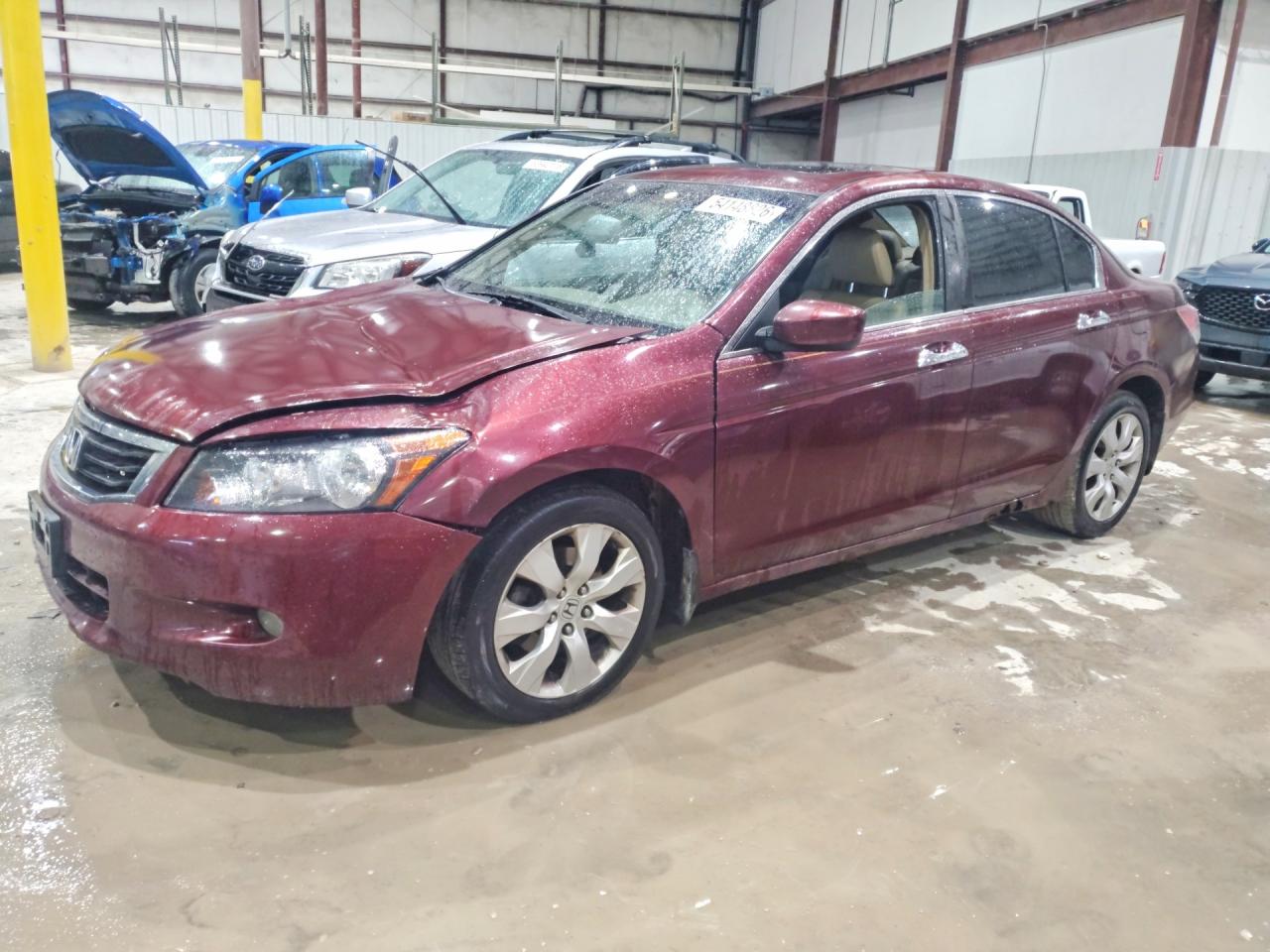 Salvage Honda Accord Image