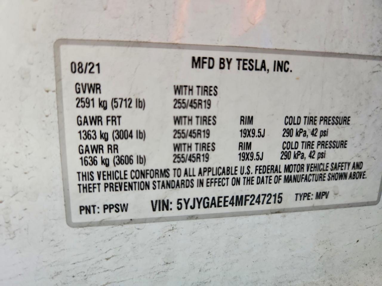 Tesla Model Y