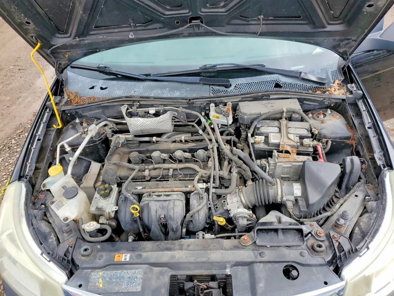 Ford Focus Se