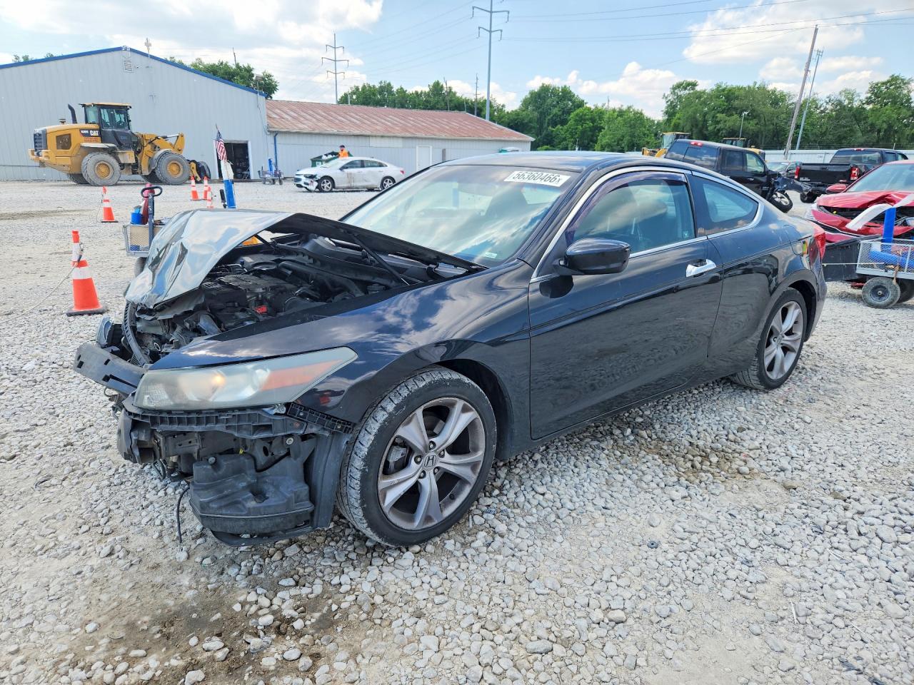 Salvage Honda Accord Image