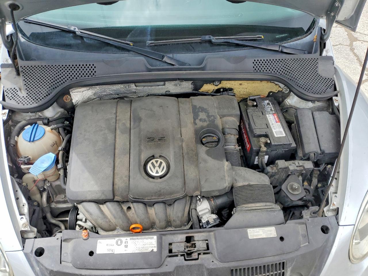 Volkswagen Beetle