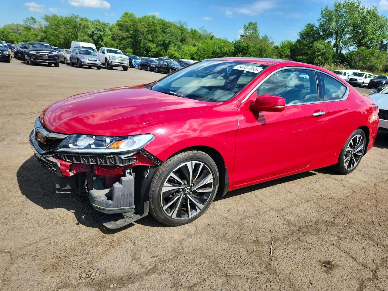 Salvage Honda Accord Image