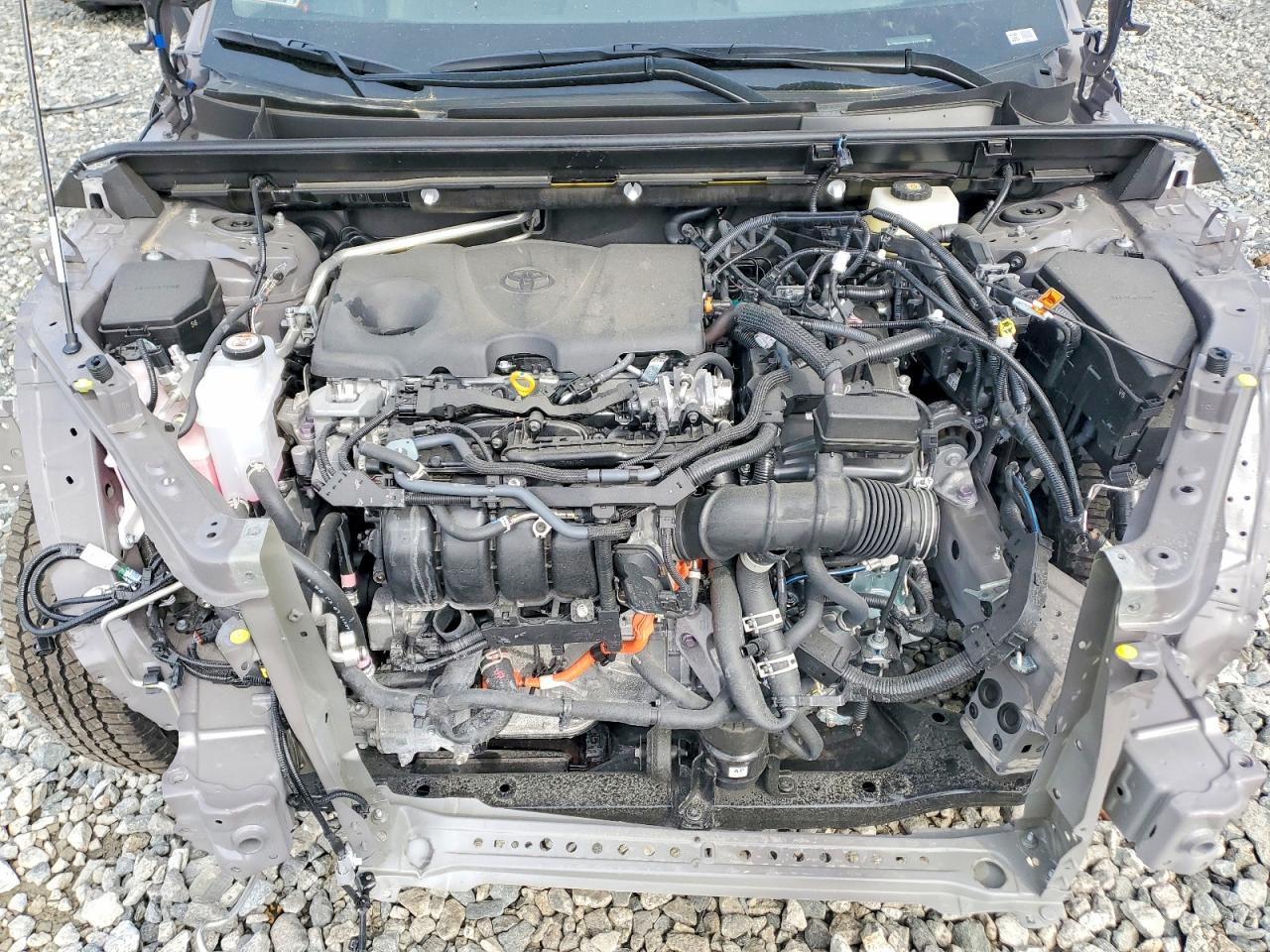 Toyota RAV4 Woodland