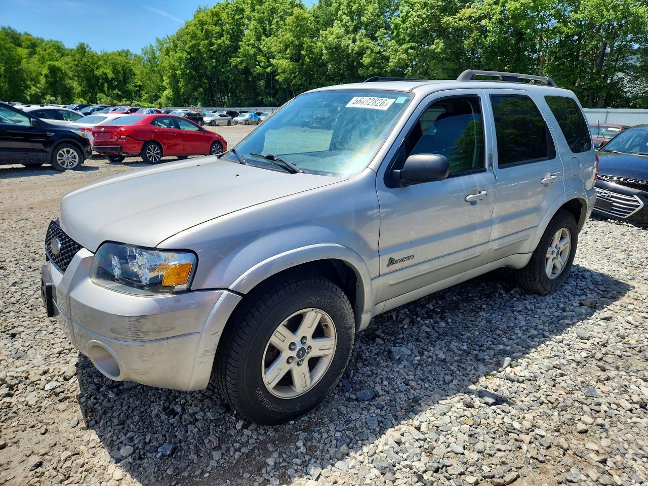 Salvage Ford Escape Image