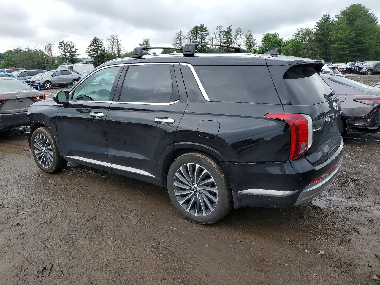 Hyundai PALISADE Calligraphy