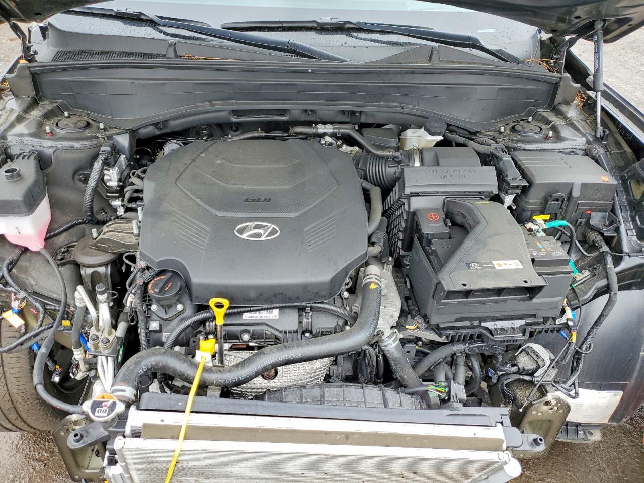 Hyundai PALISADE Calligraphy