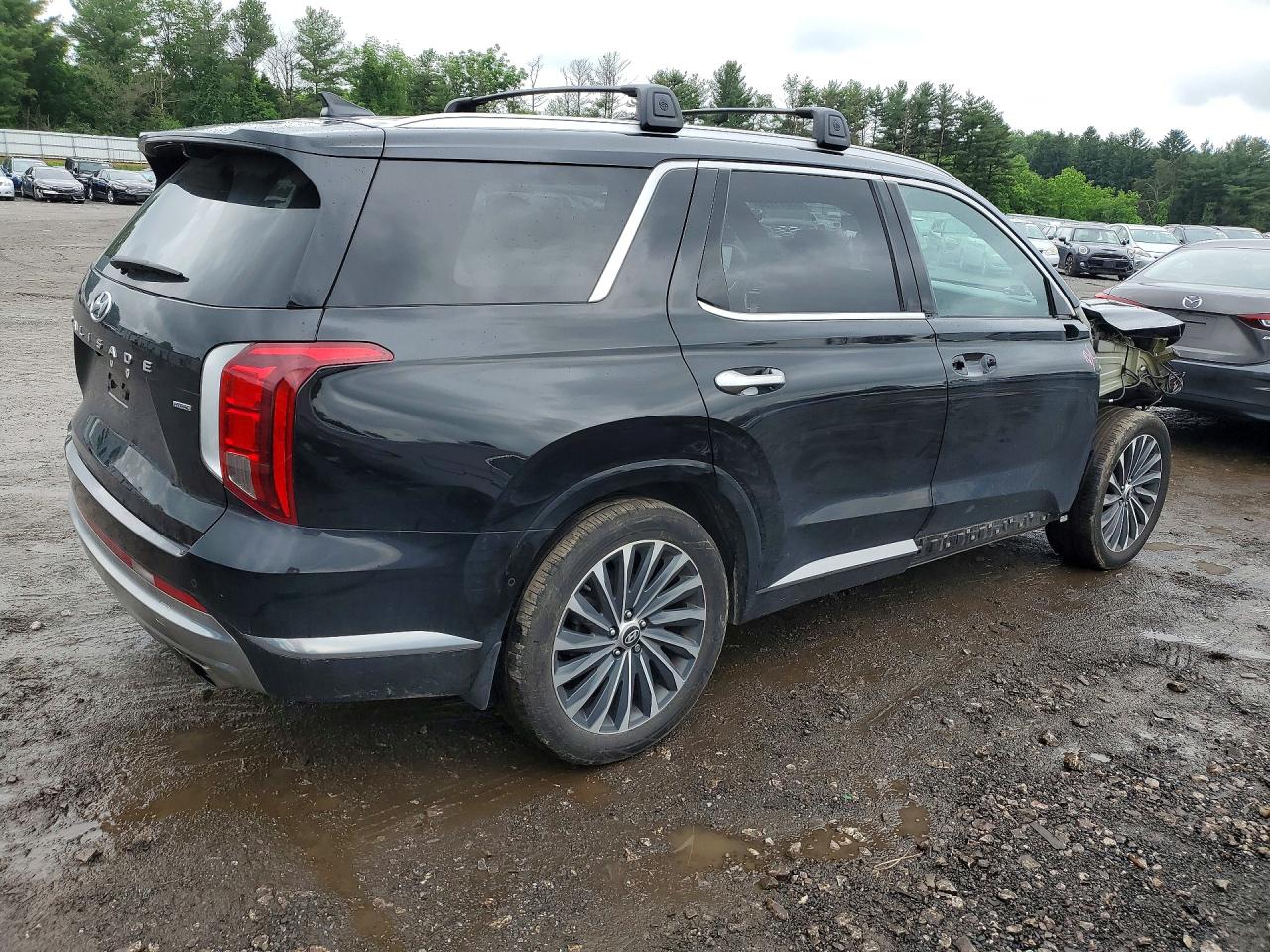 Hyundai PALISADE Calligraphy