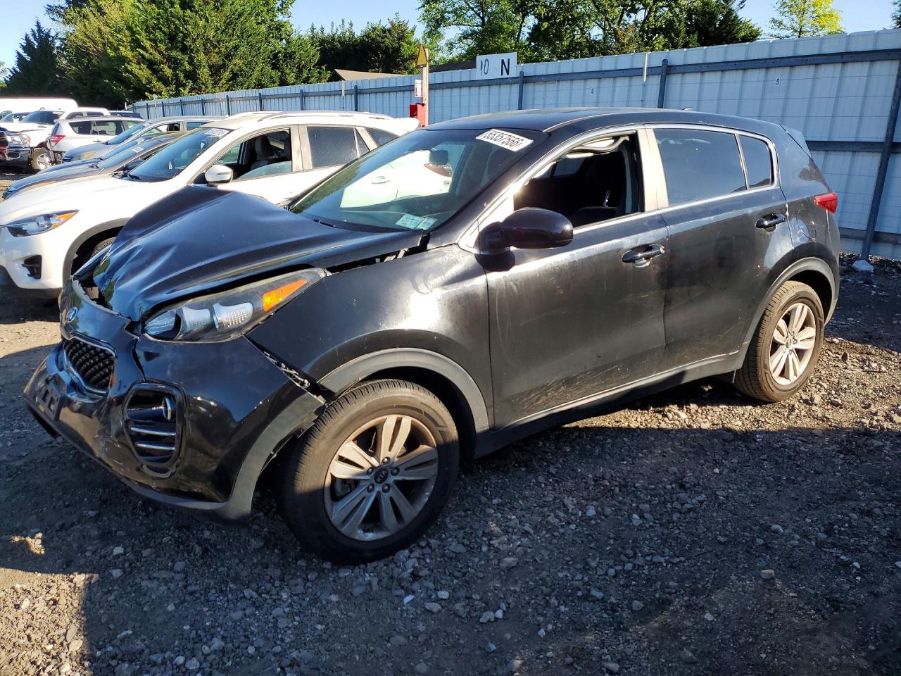 Salvage Kia Sportage Image