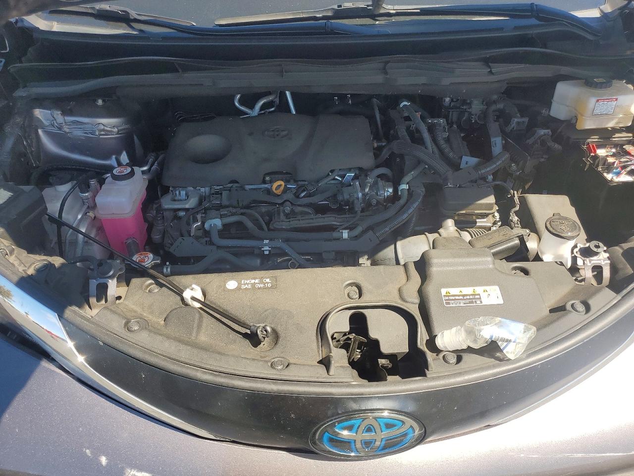 Toyota Sienna Le