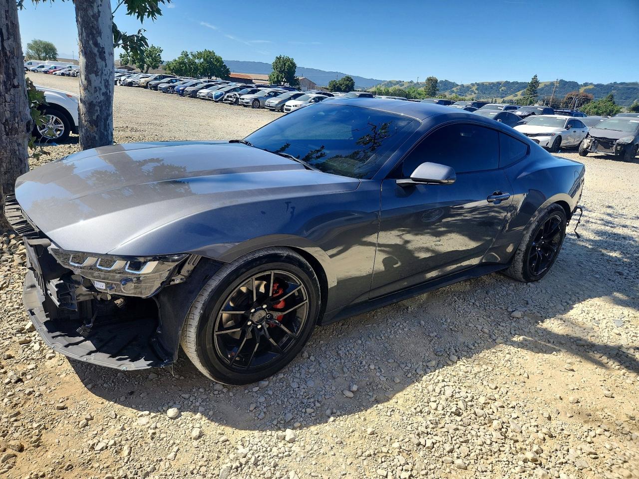 Salvage Ford Mustang Image