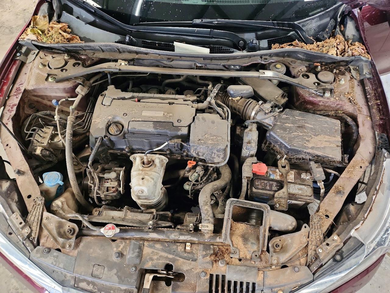 Honda Accord Sport