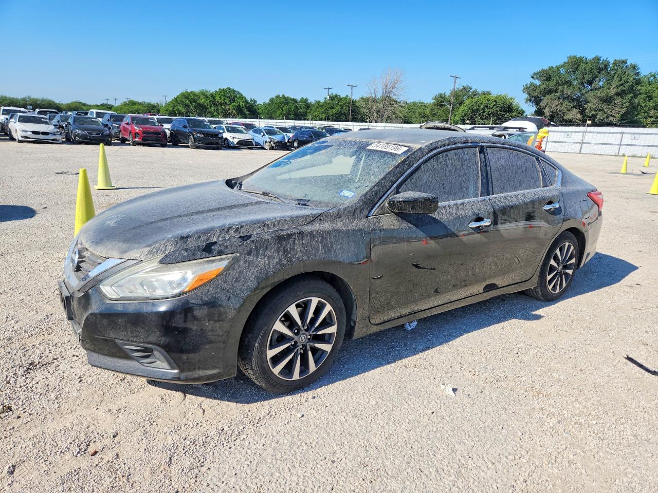 Salvage Nissan Altima Image
