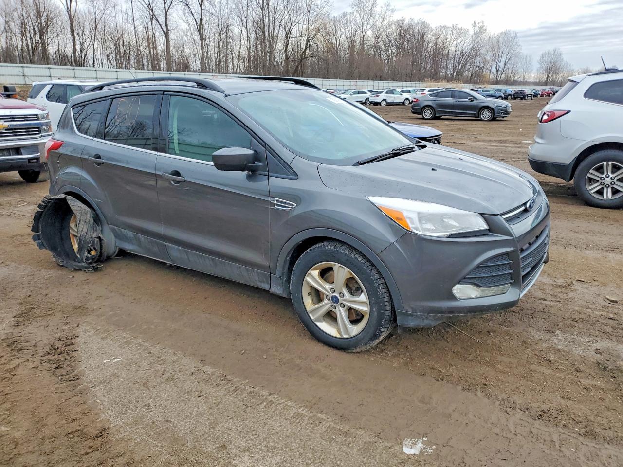 Ford Escape Se