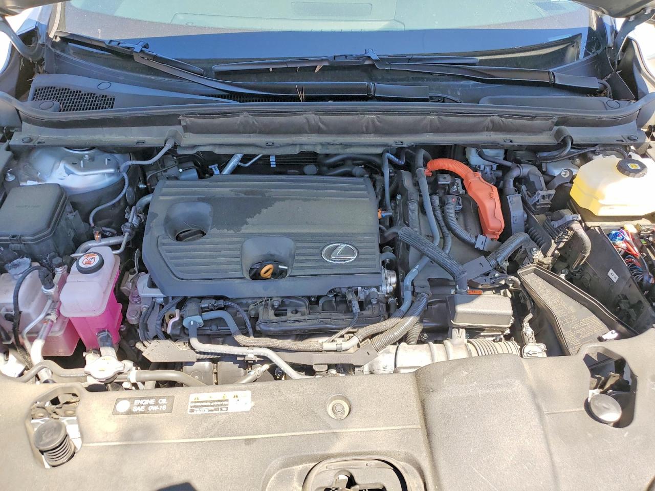 Lexus Other Premium