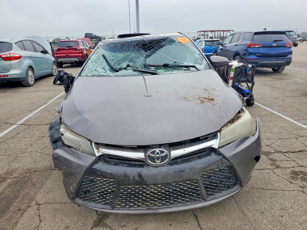 Toyota Camry Xse V6