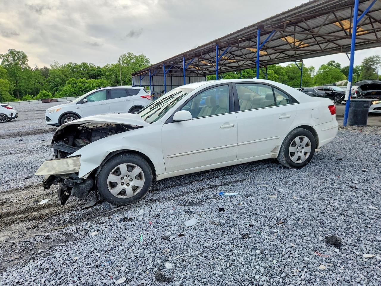 Salvage Hyundai SONATA Image