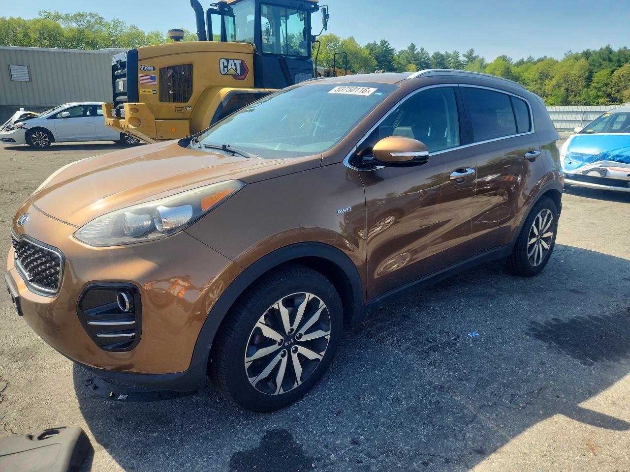 Salvage Kia Sportage Image