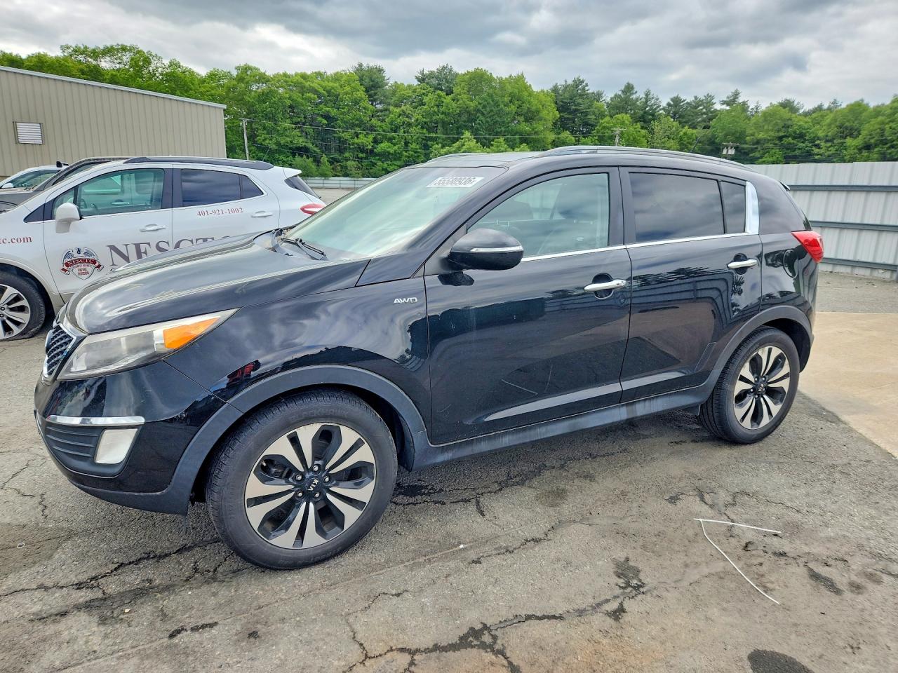 Salvage Kia Sportage Image