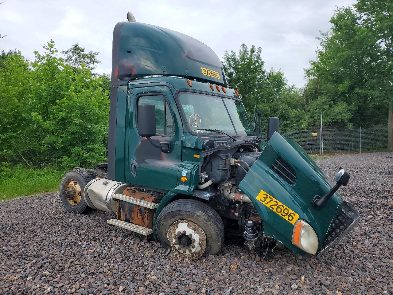 Salvage Freightliner Cascadia 113 Image