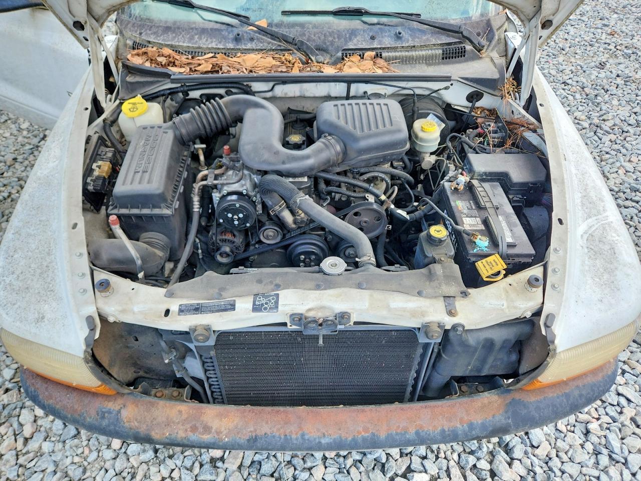 Dodge Dakota