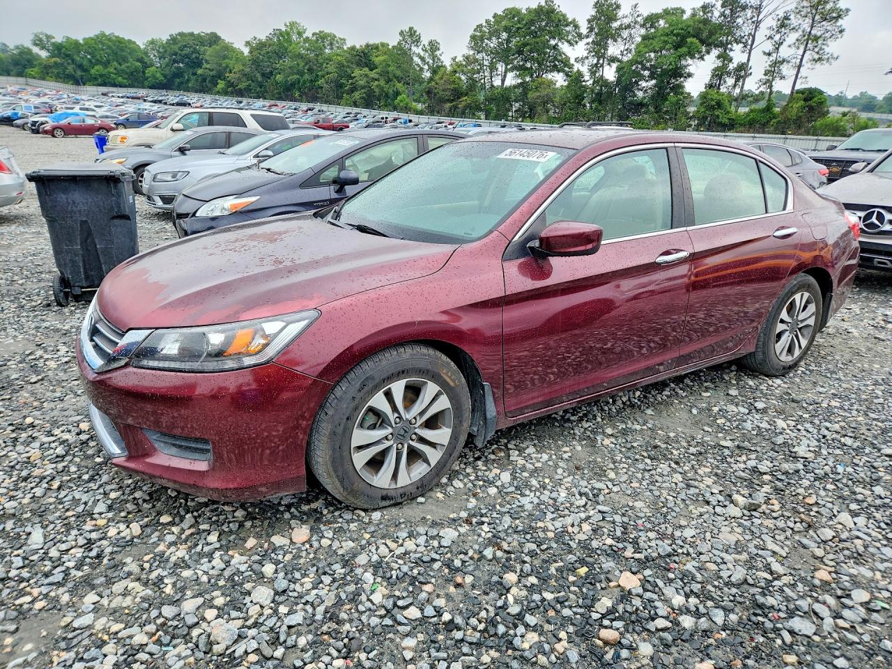 Salvage Honda Accord Image