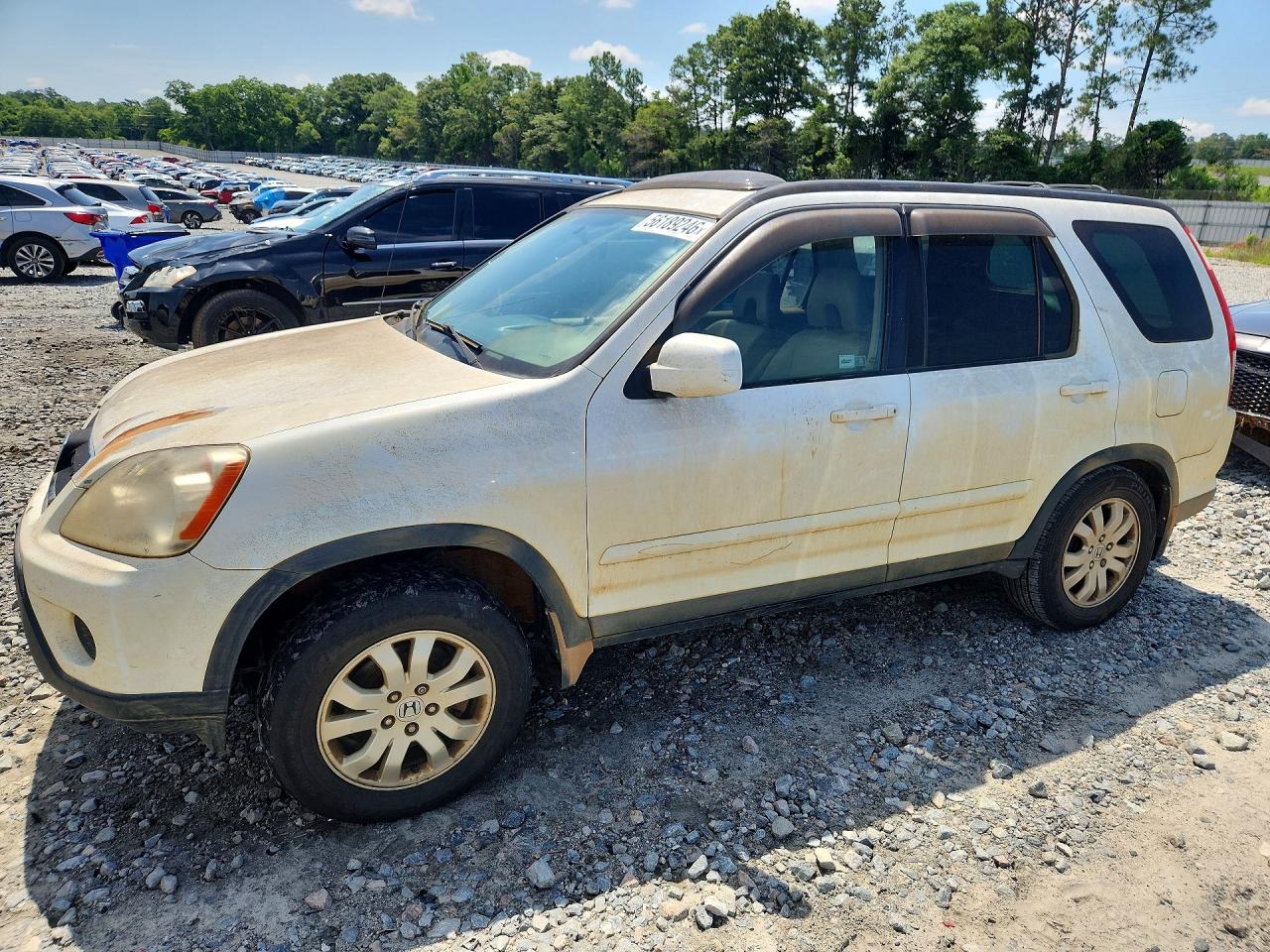 Salvage Honda Crv Image