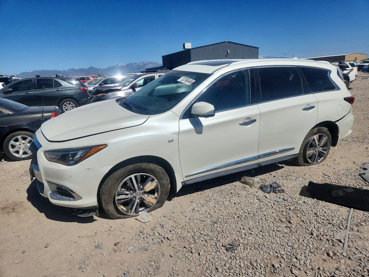 Salvage INFINITI Qx Image