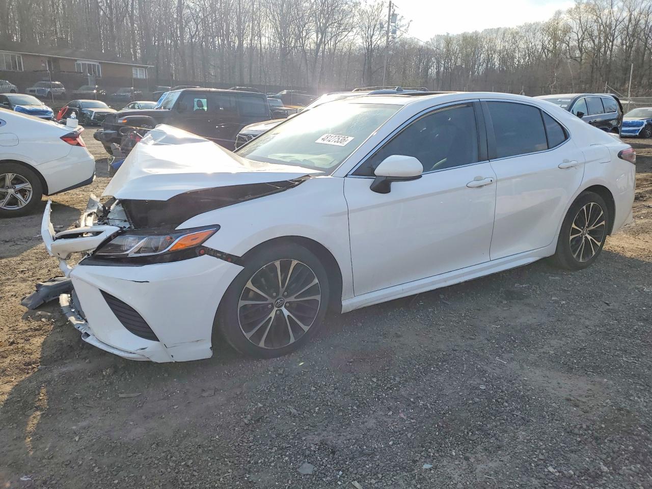 Salvage Toyota Camry Image