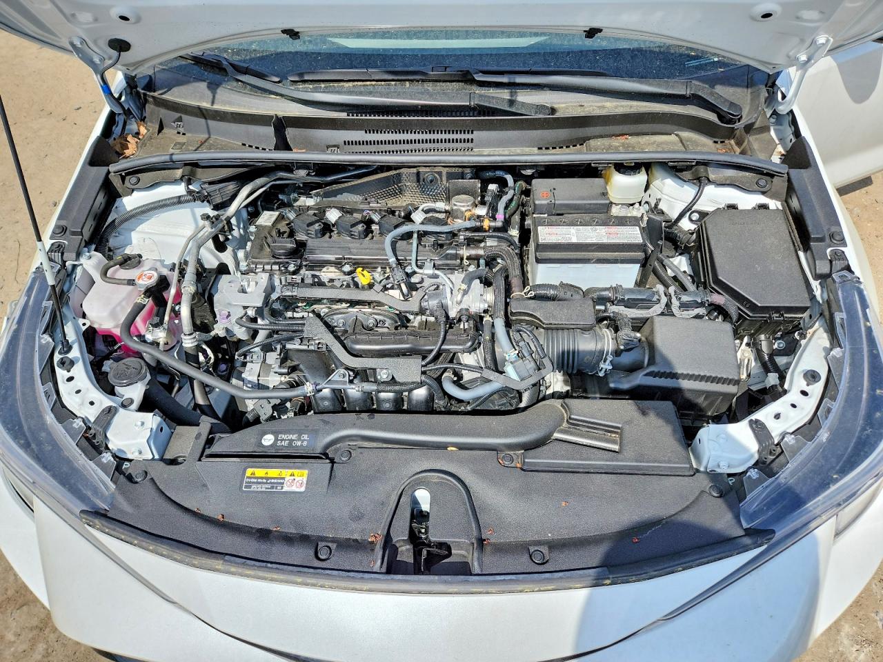 Toyota Corolla Nightshade