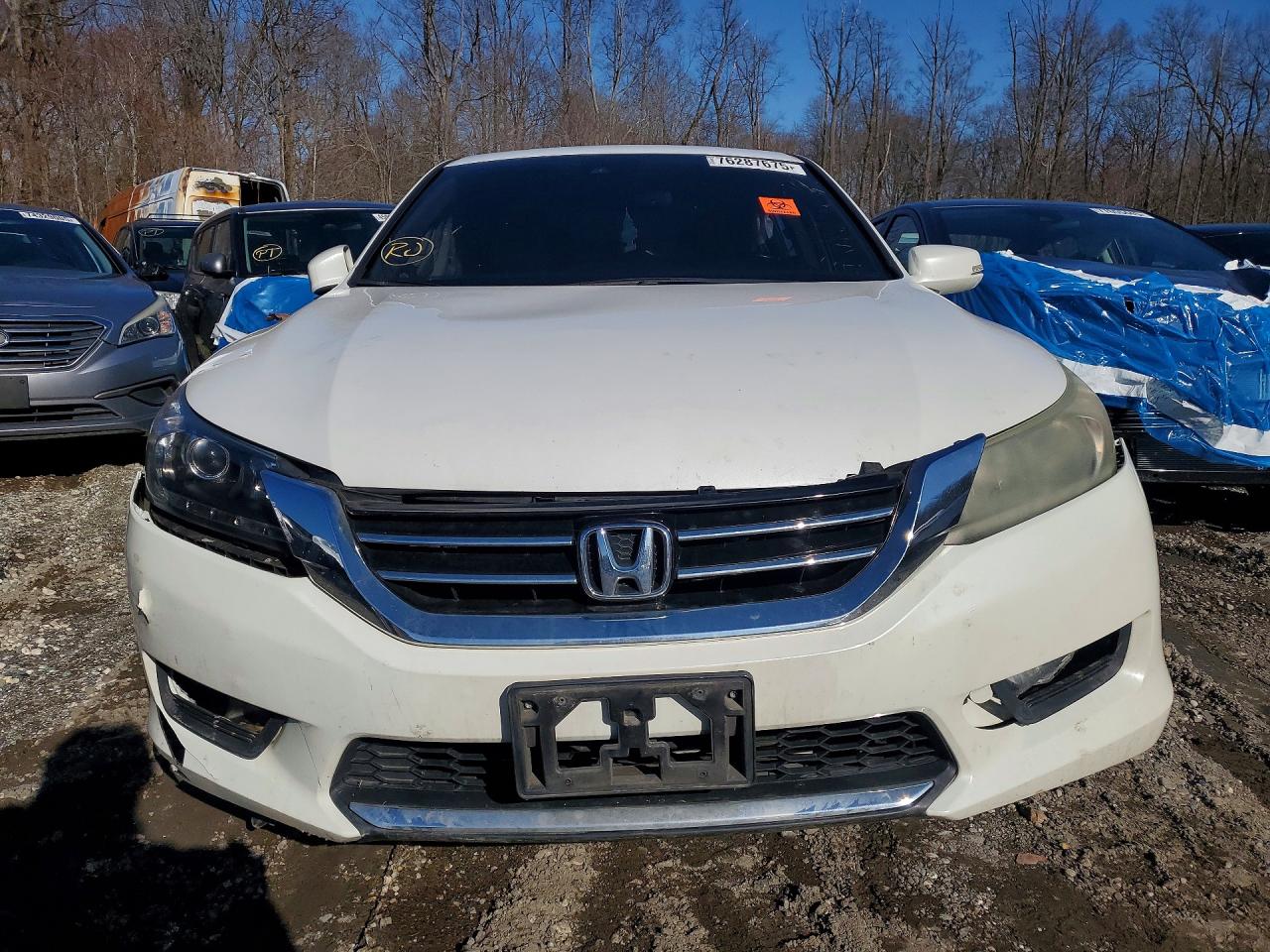 Honda Accord Exl