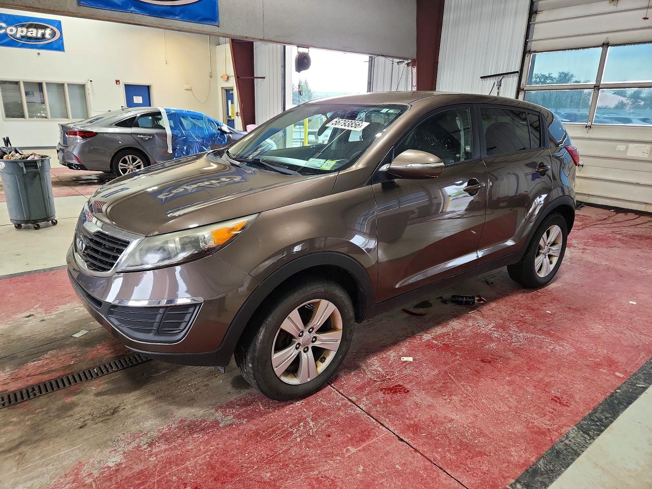 Salvage Kia Sportage Image