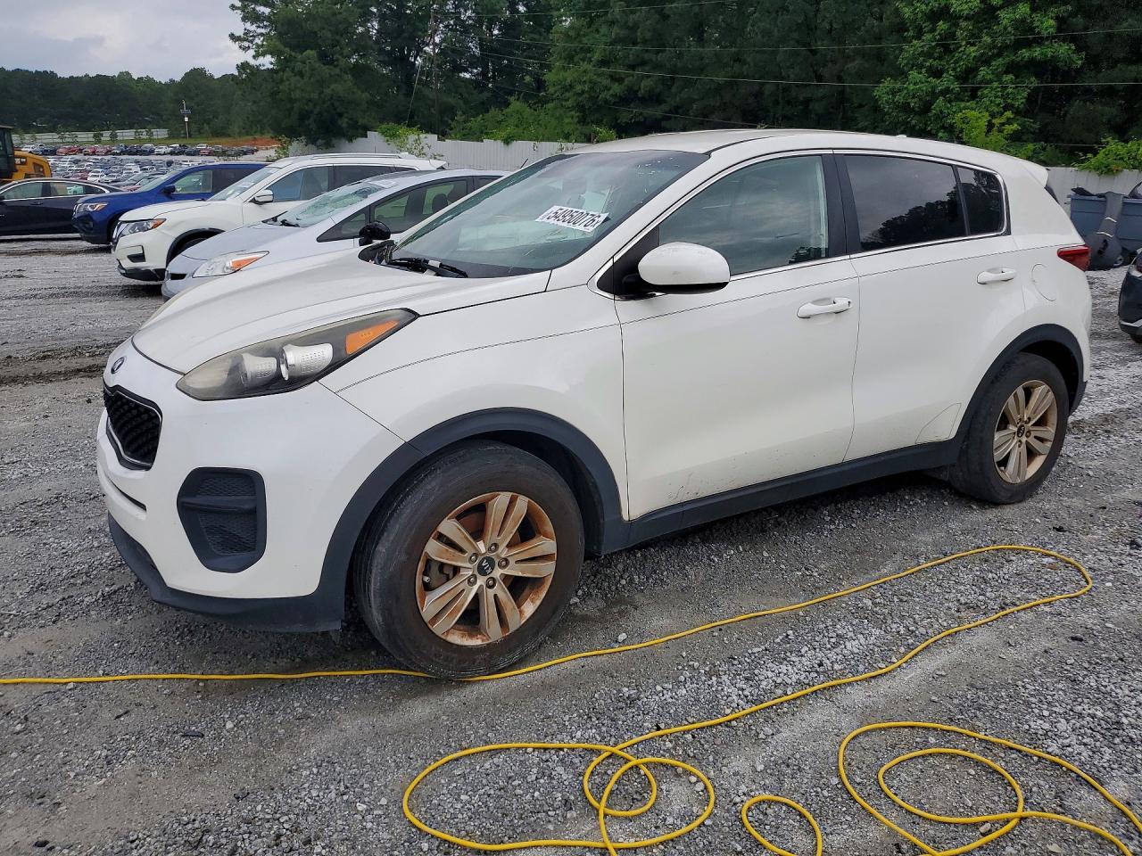 Salvage Kia Sportage Image