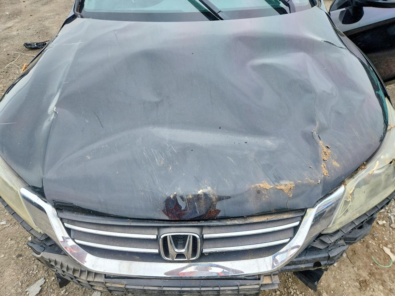 Honda Accord Exl