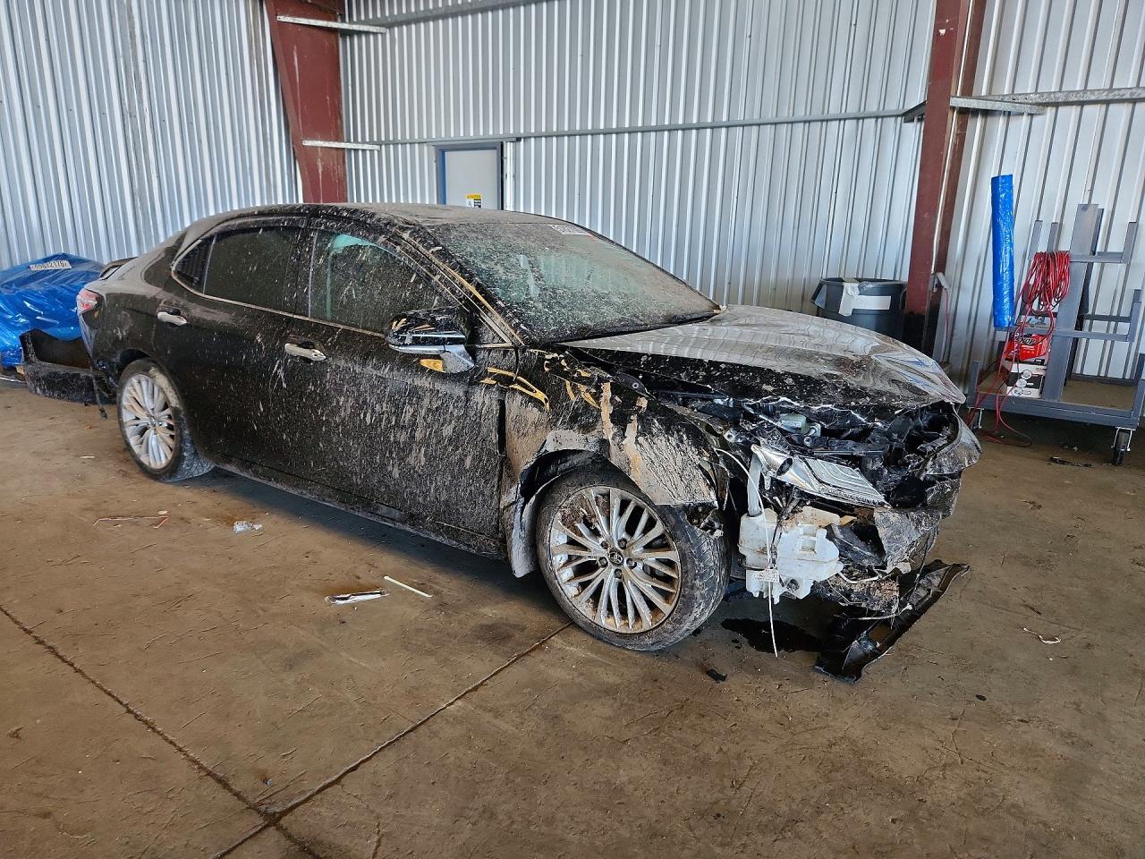 Toyota Camry Xle