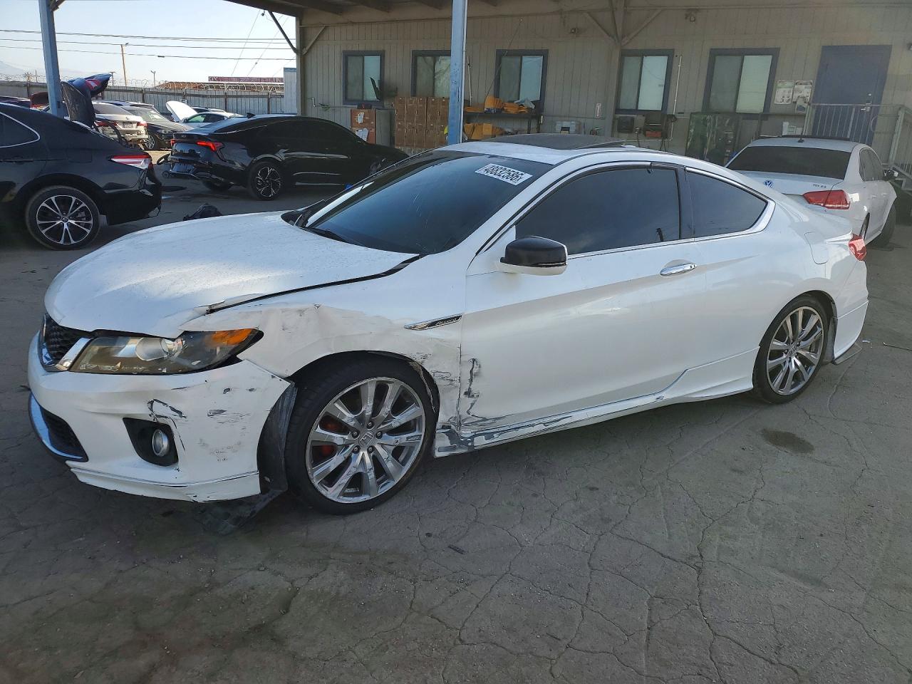 Salvage Honda Accord Image