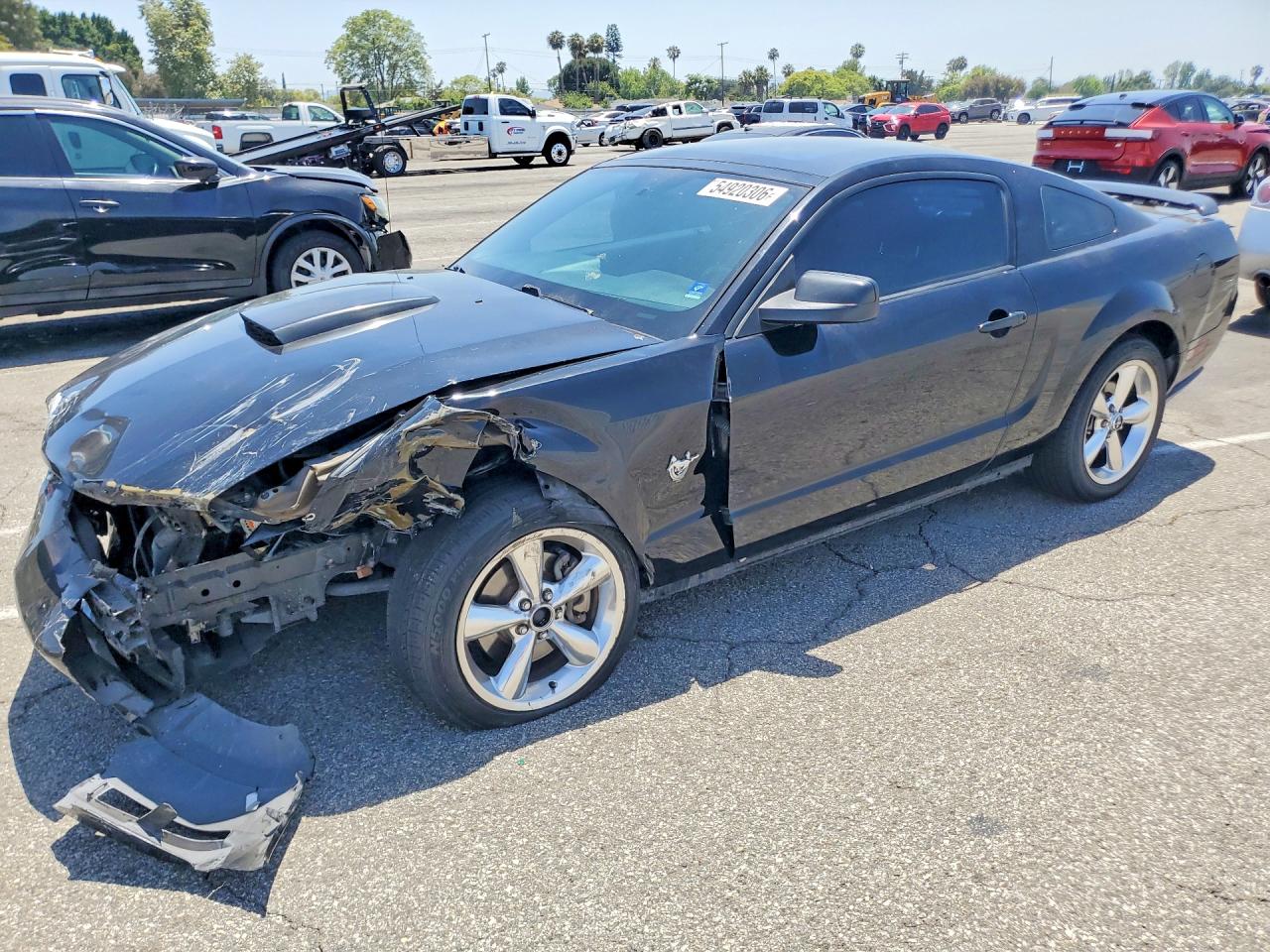 Salvage Ford Mustang Image