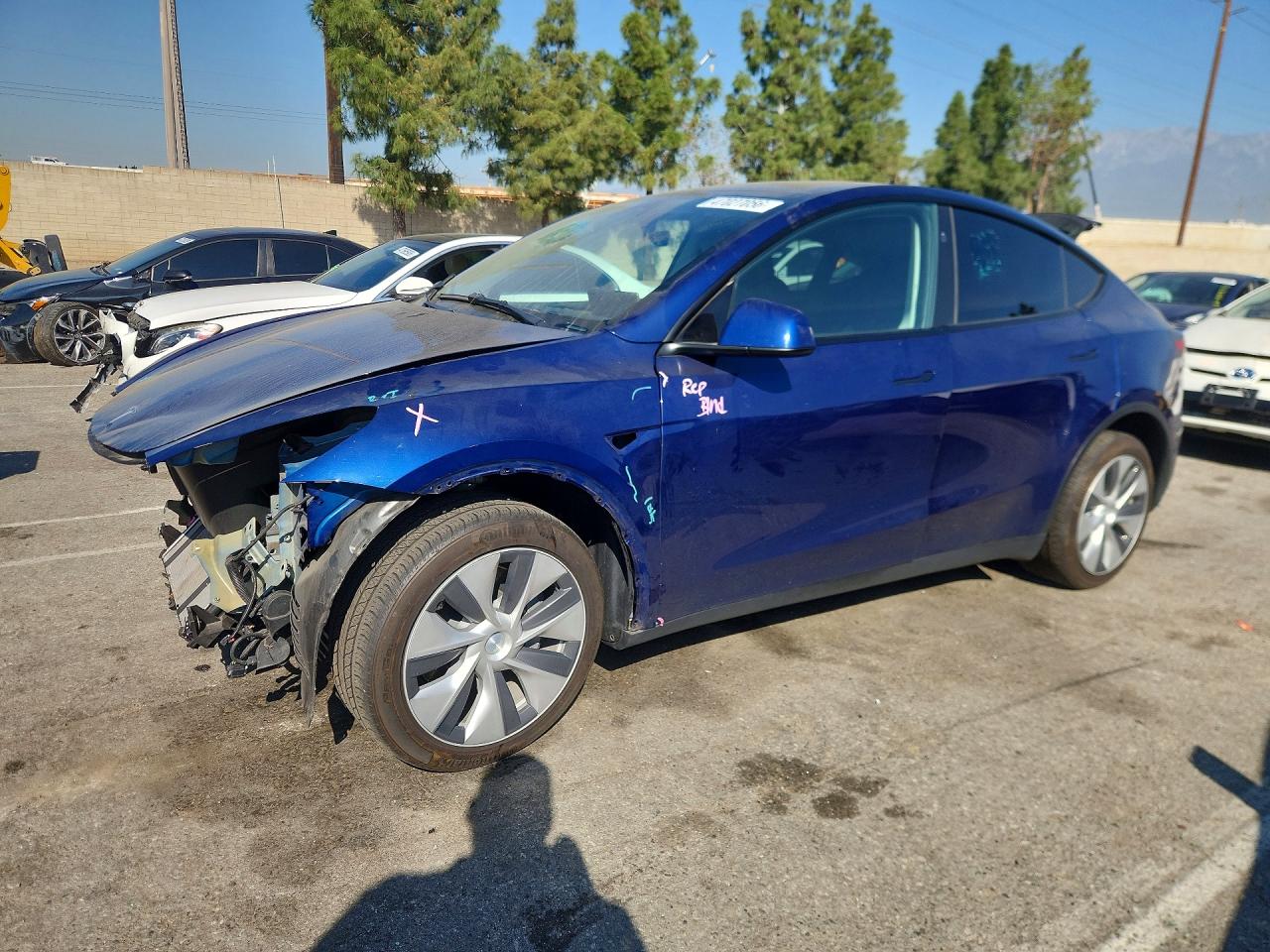 Salvage Tesla Model Y Image