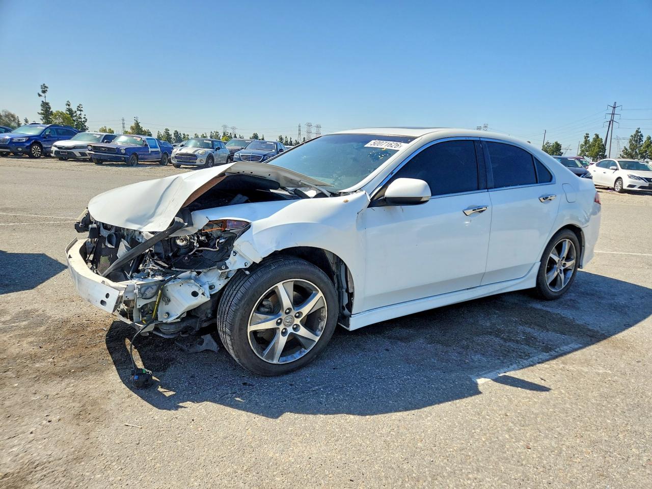 Salvage Acura TSX Image