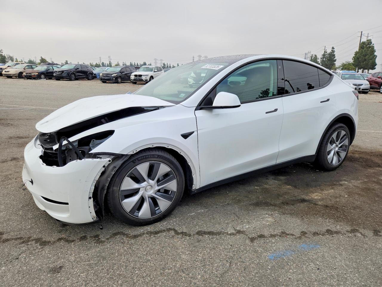 Salvage Tesla Model Y Image