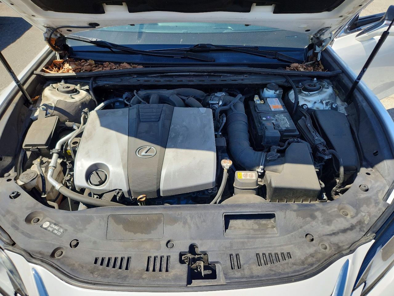 Lexus Es Base