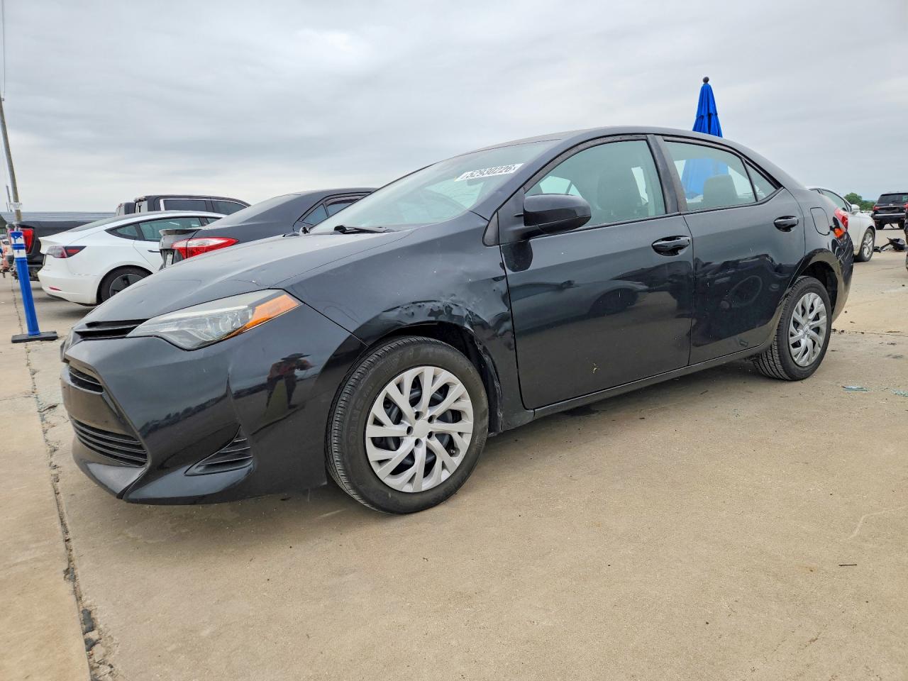 Salvage Toyota Corolla Image