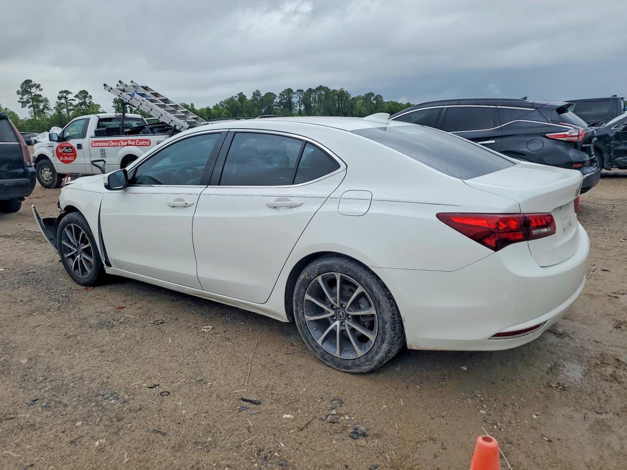 Acura TLX Tech